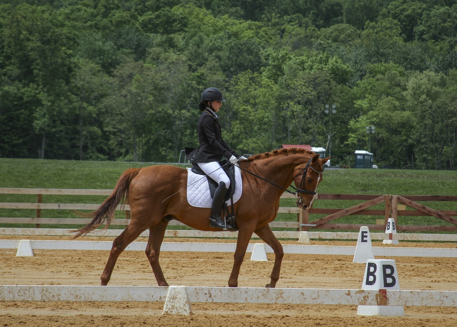 Grevinga® SCHOOL HUDORA Beach-Set5-teilig 153052 