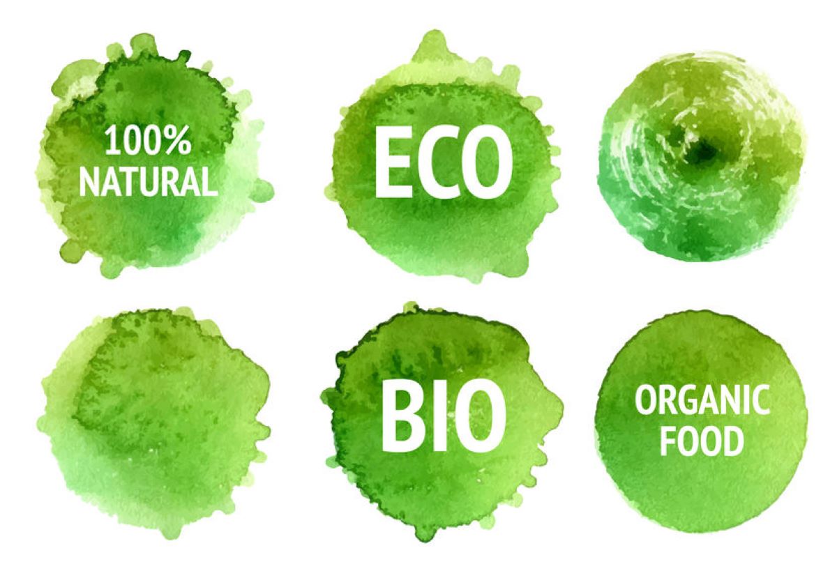 What An Ecolabel Entails In Green Home Cleaning What An Ecolabel Entails In Green Home Cleaning