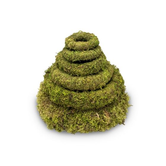 NaDeco® Moos Kranz Ø15cm x 3cmKleiner TürkranzDekokranzNaturkranzWei 