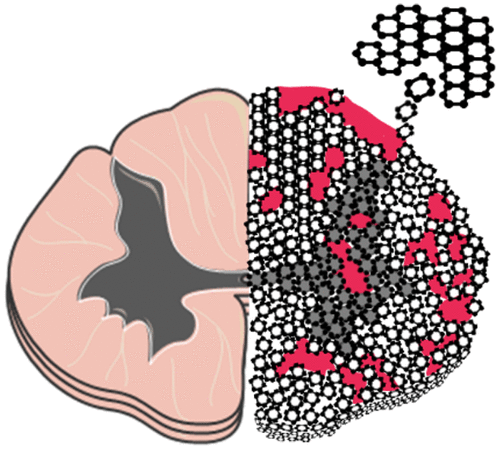 Repro Box CKO Nr.401 VW Kombi 