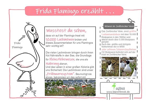 Blassgrün Sweat Sonderposten Bio Qualität Frieda Flamingo 0,5m 