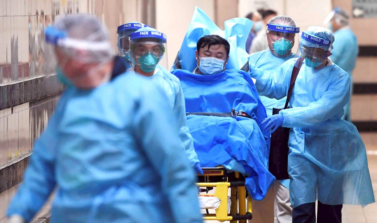 What is Coronavirus? Novel Coronavirus