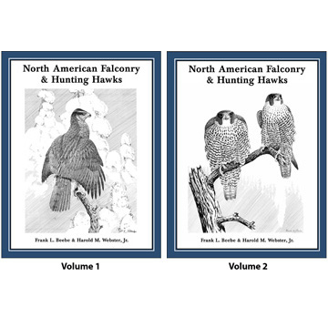 Rare Falconry Hawking Books on USB Train Hunting Birds of Prey Hawk Falcon 46 