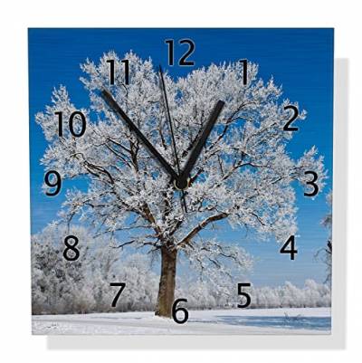 Wallario Design Wanduhr Acrylglas 30 x 60 cm Eichhörnchen einem Ast Wald Baum 