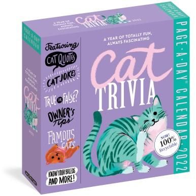 Don't Do Days! Ginger Cat Fridge Magnet 