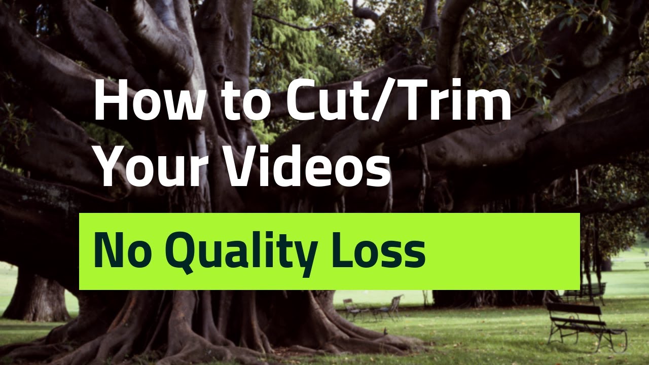 How to Cut & Trim Videos