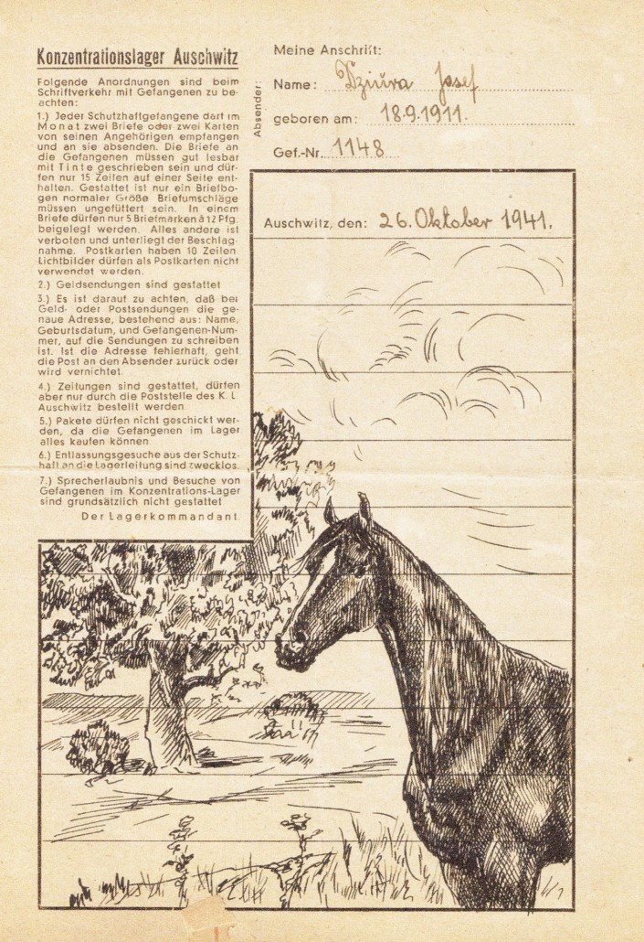 Kriegsende Zwickauer Region 1945 Bildband Fotos Bilder Archivbilder Buch Book AK 