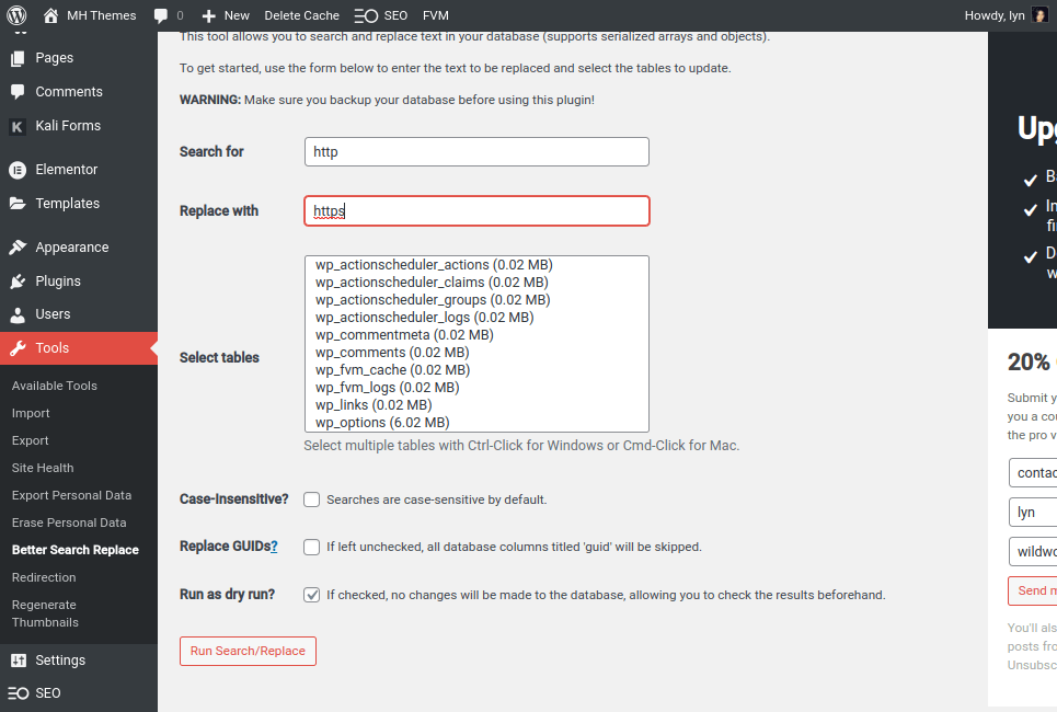 Better Search Replace - HTTP to HTTPS