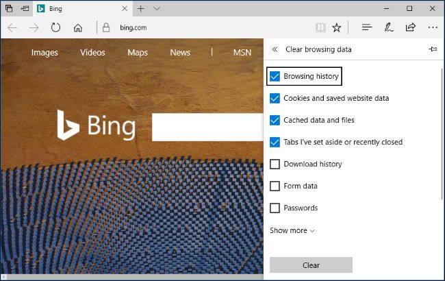 Microsoft Edge Web Browsing History