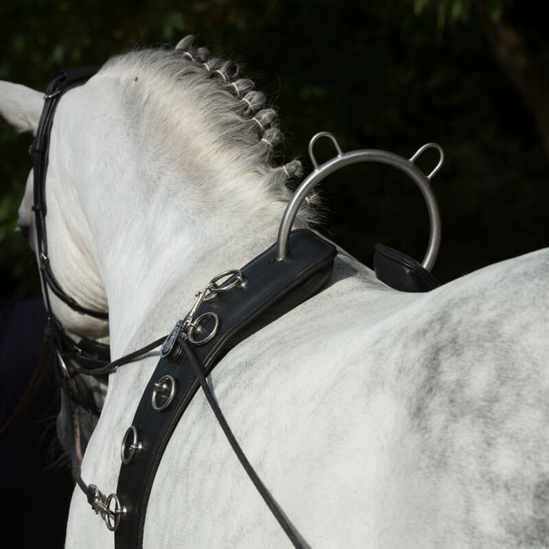 Hennig 26718 "Wäscheleine und Zubehör" 