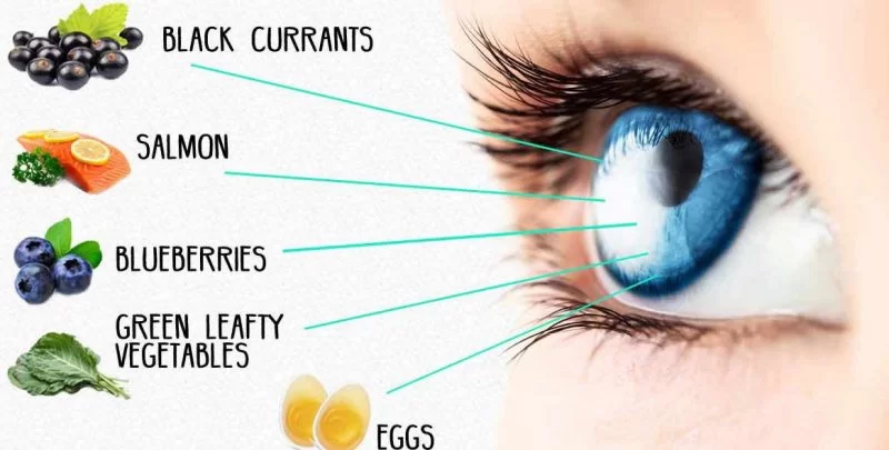 Healthy Eyesight Guide