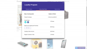 Website Loyalty Point Rewards Plugin Guide
