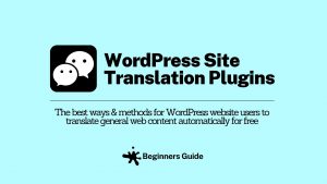 What Are WordPress Translation Plugins?