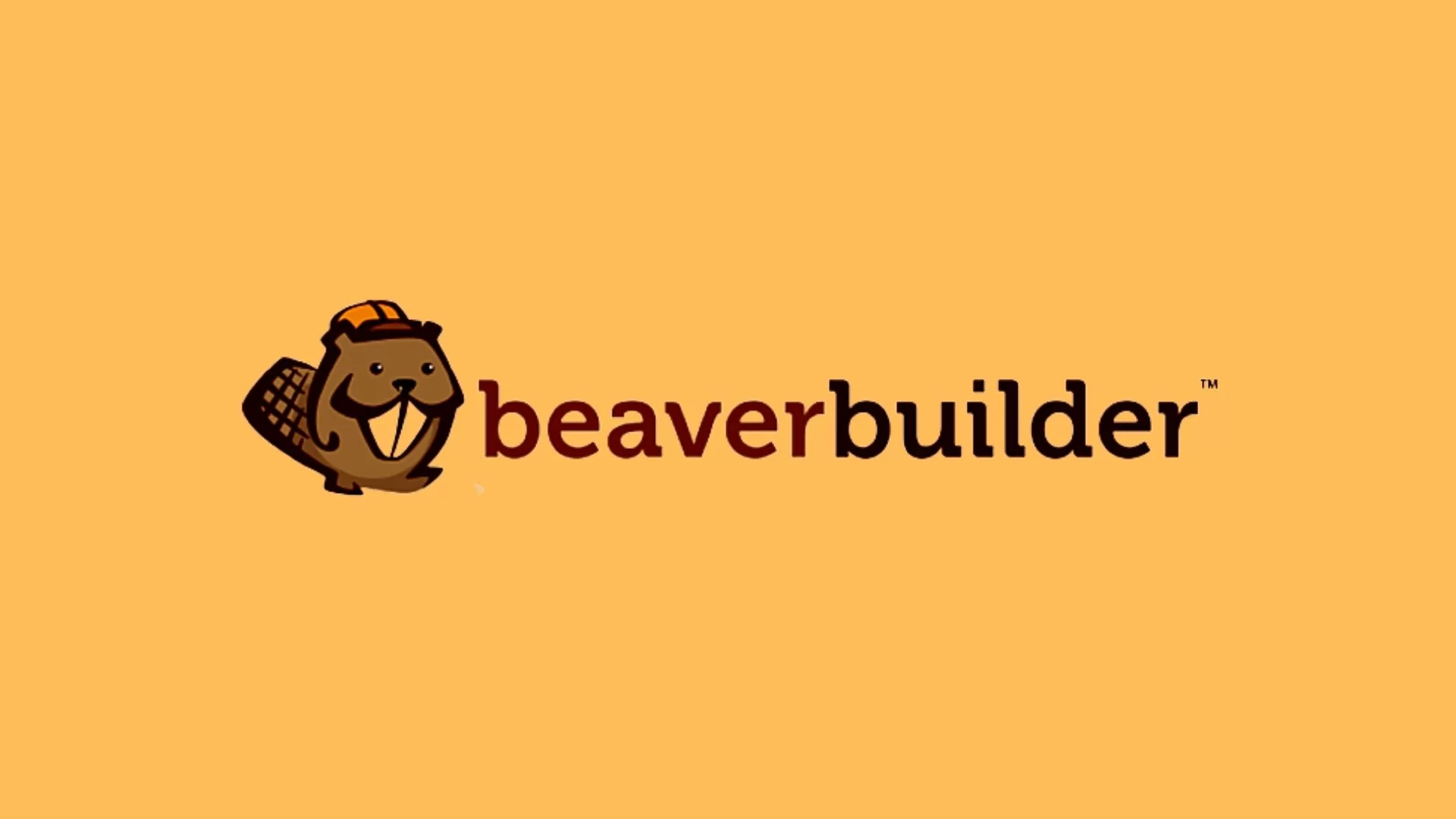 What Is WordPress Beaver Builder?