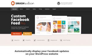 Custom Facebook Feed