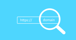 Domain Name Value