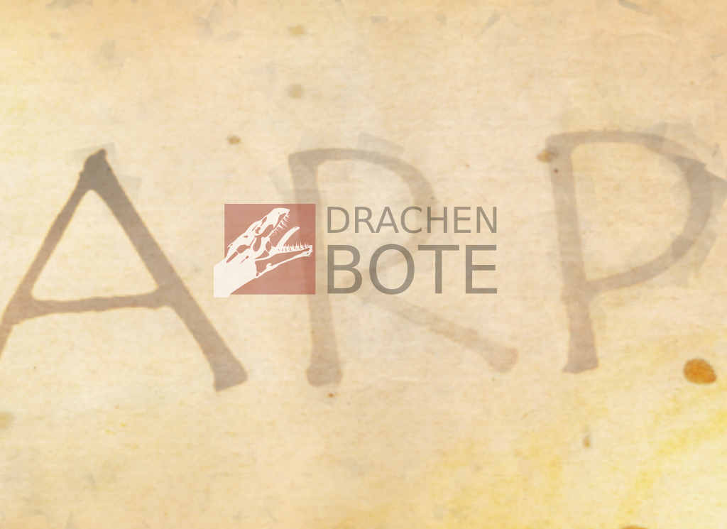 Mittelalter LARP ... 33mm breit 5m DSA Borte 05 Boron schwarz/ weiss 