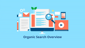 Organic Search