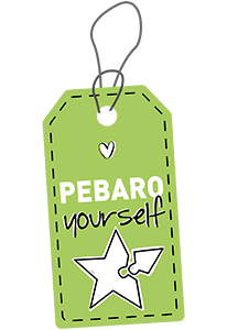 PEBARO Holzbausatz Stegosaurus 