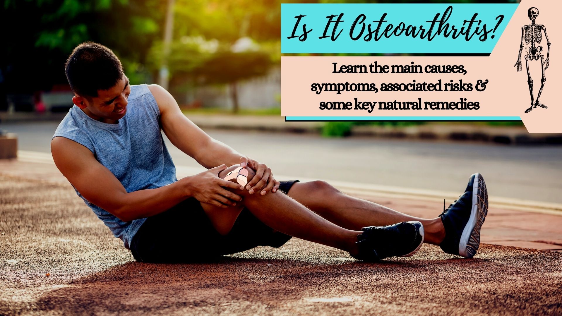 What Is Osteoarthritis? What Is Osteoarthritis?
