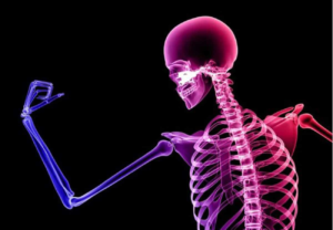 Why Is Bone Health Important?