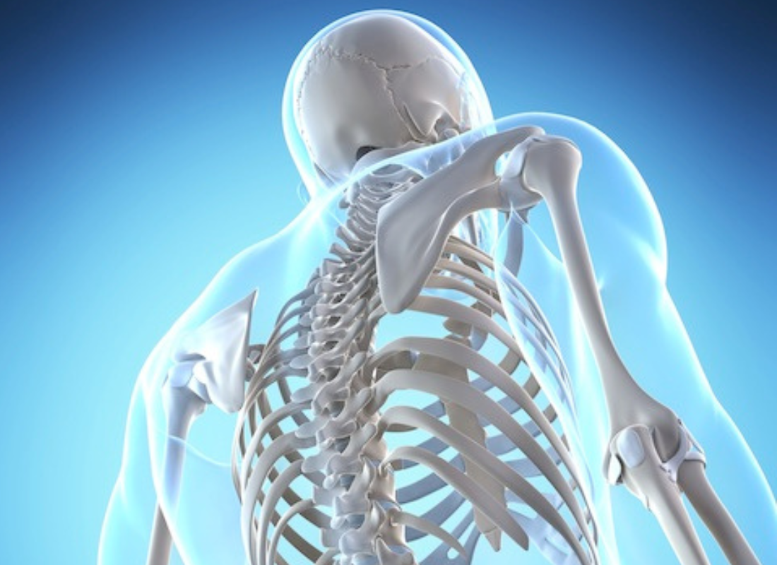 Why Is Bone Health Important?