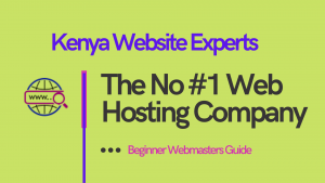 Why Use Kenya Website Experts?