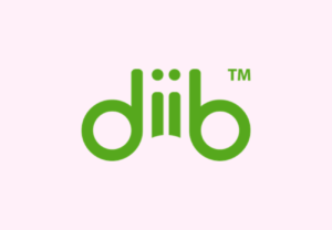 How The Diib Web Application Platform Works