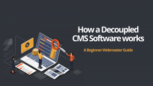How a Decoupled CMS Software works