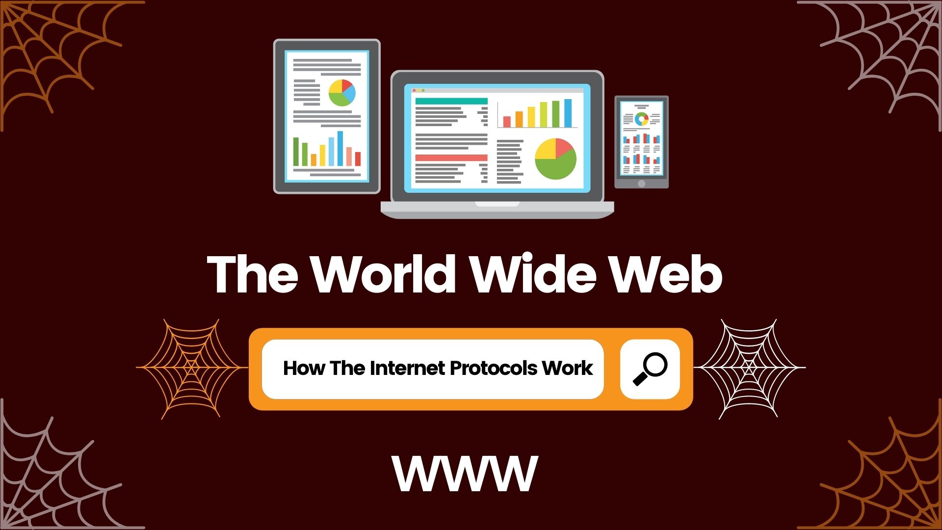 What Is World Wide Web (WWW)?
