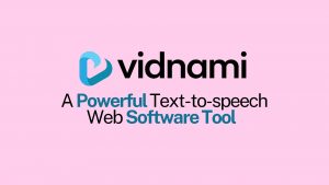What Is Vidnami?