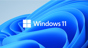 What does Windows 11 offer?