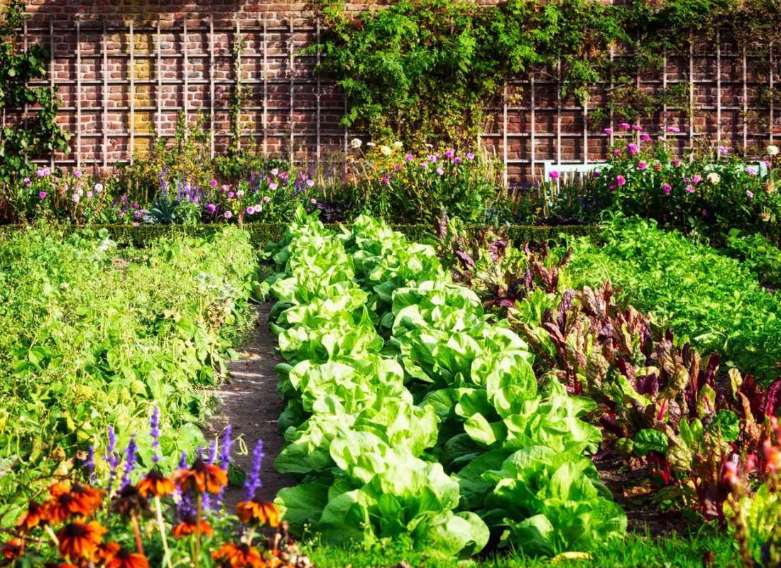 how-a-kitchen-garden-potager-can-save-you-money-starter-guide