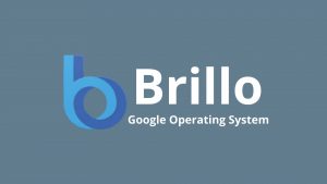 What Is Google Brillo OS?