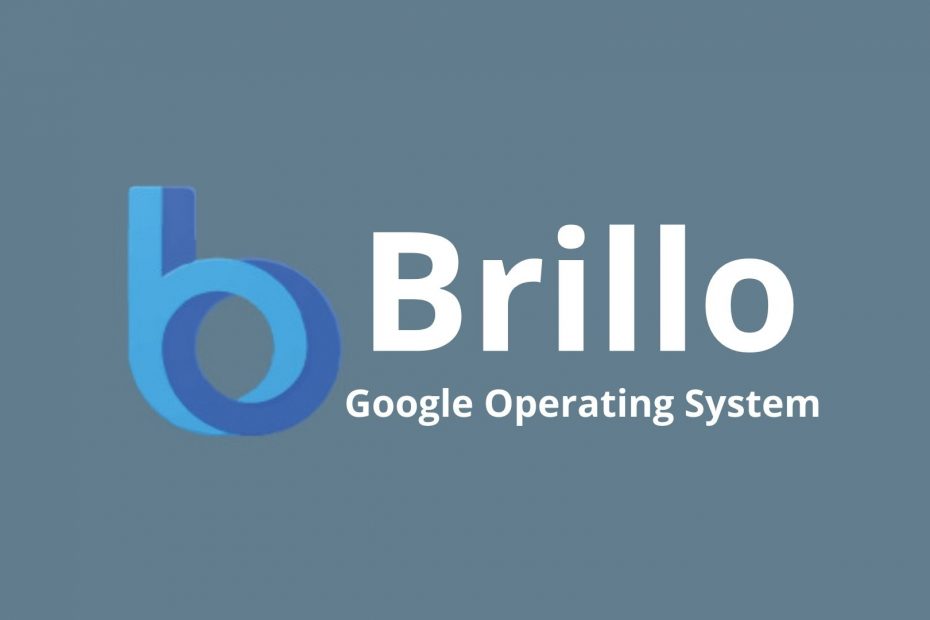 What Is Google Brillo OS?