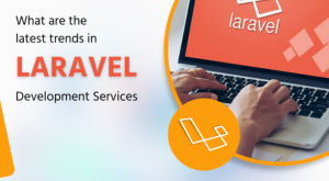 Laravel Development Services