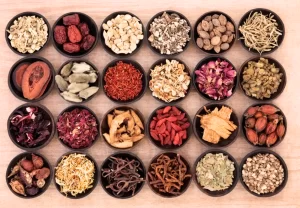 What Is Traditional Chinese Medicine?
