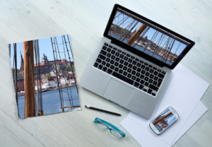 The Topmost Primary Web Development Types