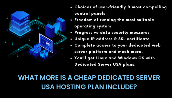 What More is a Cheap Dedicated Server USA Hosting Plan Include