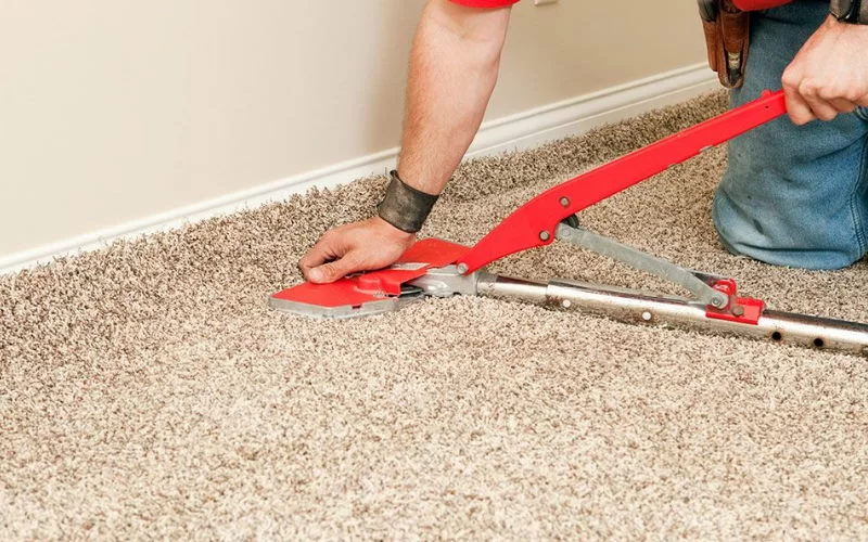 professional Carpet Cleaning Battle service