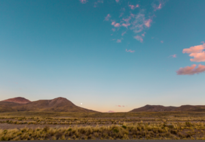 Yard Landscape Maintenance 101 Tips To Keep It Looking Great