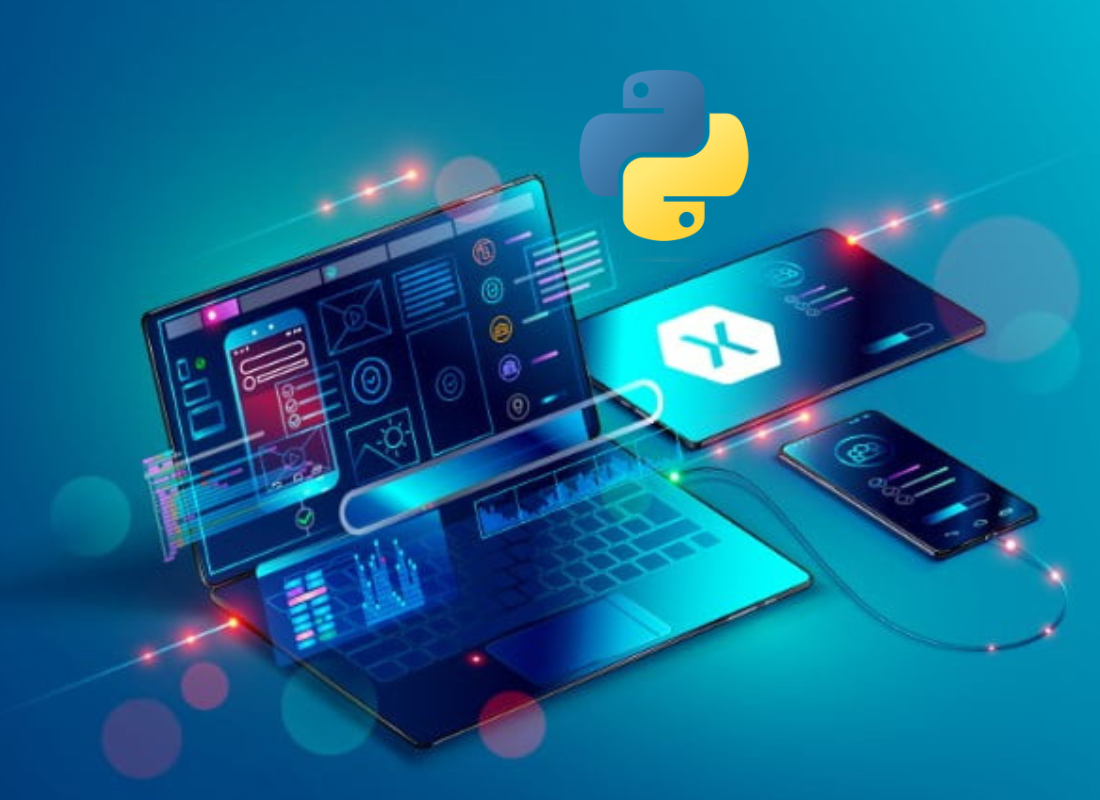 How A Python Development Company Can Help Your Business