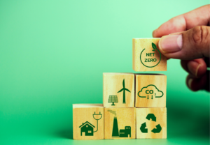 How Carbon Credits Trading Works